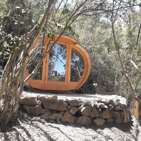 Biosfera Lodge Olmué 외부 사진
