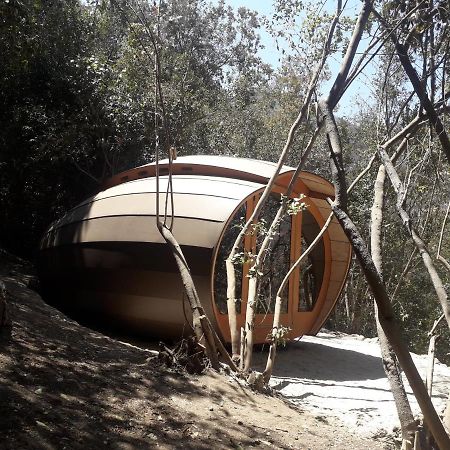 Biosfera Lodge Olmué 외부 사진