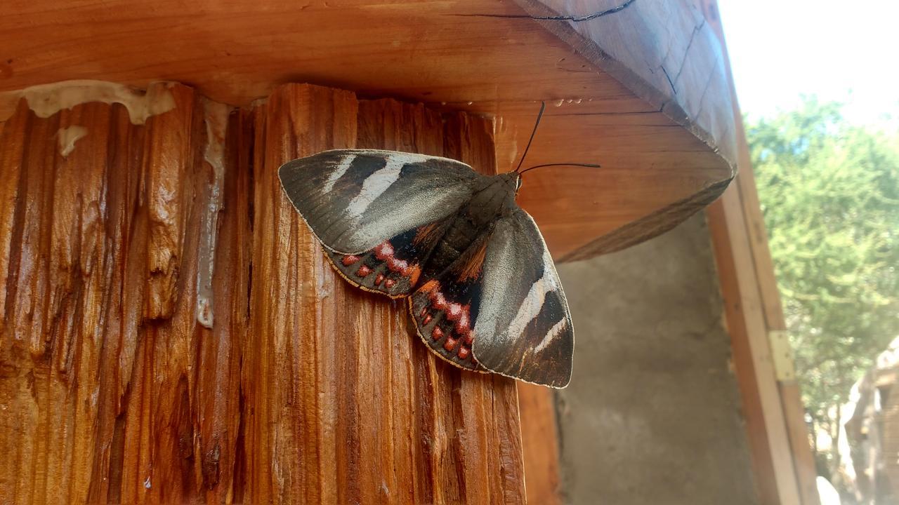 Biosfera Lodge Olmué 외부 사진
