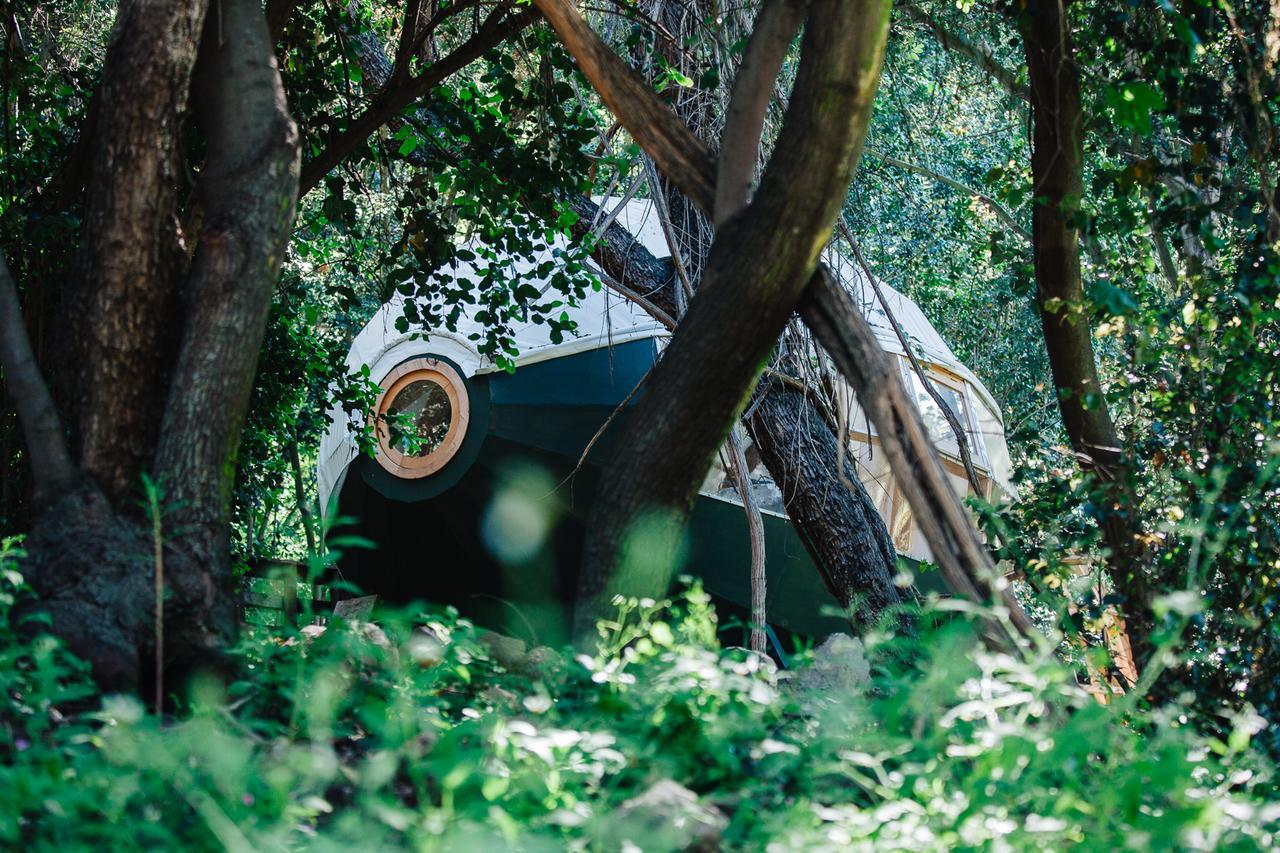 Biosfera Lodge Olmué 외부 사진