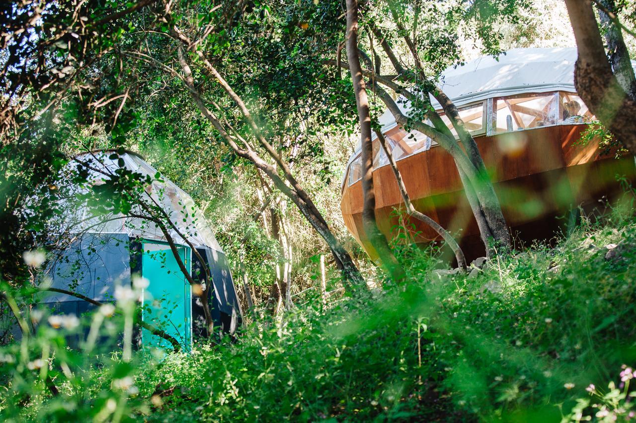 Biosfera Lodge Olmué 외부 사진