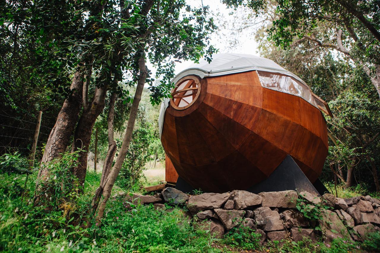 Biosfera Lodge Olmué 외부 사진